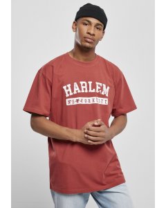 Herrenshirt kurze Ärmel // South Pole Harlem Tee brick red